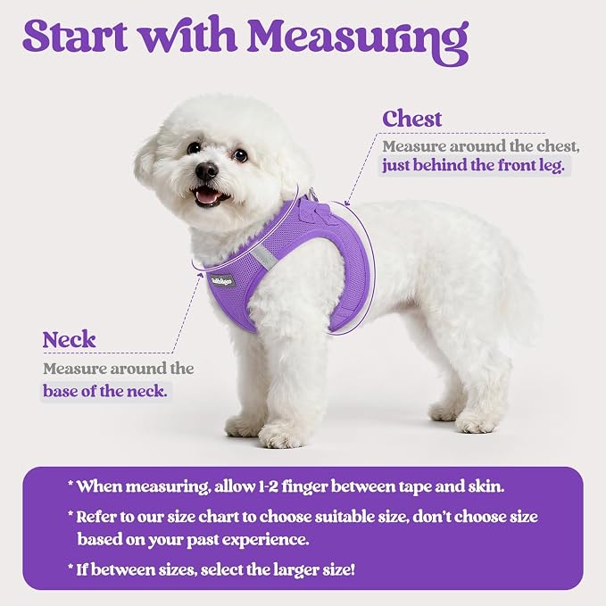rabbitgoo Dog Harness Medium Sized and Leash Set, Step-in Puppy Pet Vest | Light, Soft, Breathable Air Mesh, Easy on and Remove with Hook & Loop, Secure Reflective for Walking, Purple L