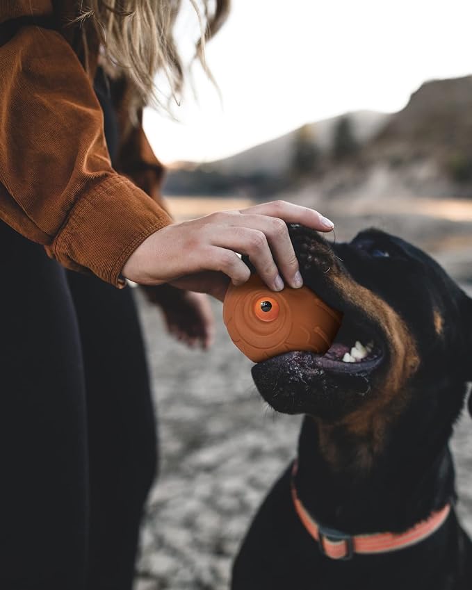 Mewlmart Giggle Ball for Dogs Owl Toys for Aggressive Chewers Dog Ball Toy for Puppy Medium Large Dogs Fun Gift for Dog Natural Rubber Hoot Brown