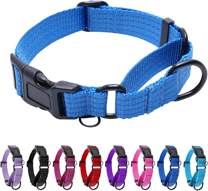 Martingale Dog Collar, Reflective No Pull with Buckle, Blue, S