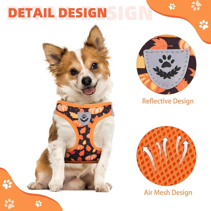 KOOLTAIL Fall Dog Harness and Leash Set for Small Medium Dogs, Thanksgiving Step in No Pull Comfort Padded Pet Vest, Adjustable Reflective Easy Walking Puppy Cats Harness Training, Leaf & Pumpkin S