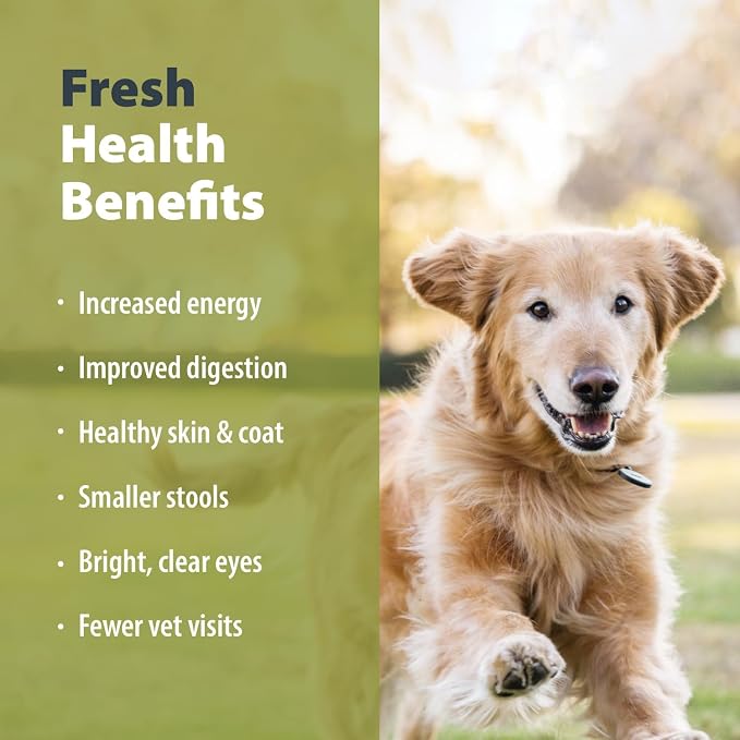 JustFoodForDogs Pantry Fresh Wet Dog Food, Complete Meal or Dog Food Topper, Lamb & Brown Rice Human Grade Dog Food Recipe - 12.5 oz (Pack of 6) | Fresh Pet Meal or Fresh Dog Food Topper, Human Grade Recipe Made With Whole Foods, Preservative-Free, 12....