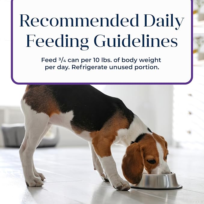 Blue Buffalo Basics Turkey Adult Grain-Free Wet Dog Food, 12.5 oz, 12 ct | Skin & Stomach Care, Real Turkey #1 Ingredient, Limited Ingredient Diet, Antioxidant-Rich LifeSource Bits, Skin & Coat Health