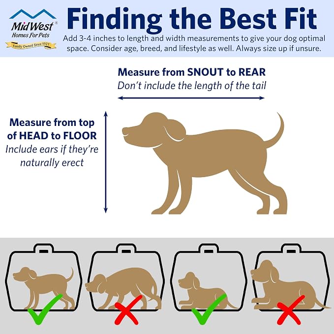 MidWest Spree Travel Carrier, Small Dog & Cat, 22-Inch, Blue | Hard-Sided Pet Carrier, Steel Door, Ventilated Design, Locking Tabs, Easy Assembly