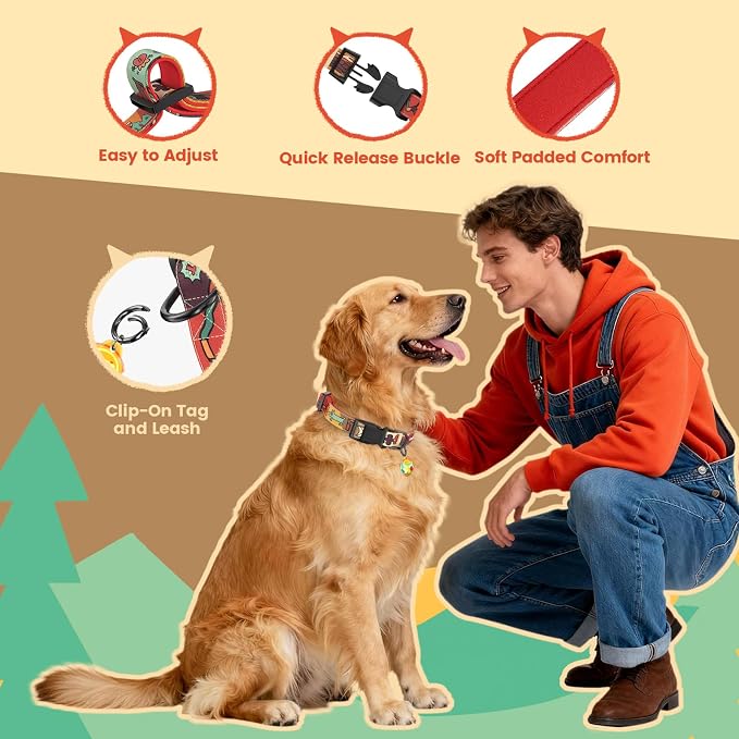 Dog Collar and Leash Set with QR ID Tag, 5 FT Leash, Red, M