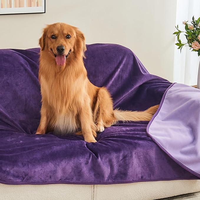 Waterproof Blanket Bed Cover 80"x90" for Adults or Pets, Dark Purple | Soft Pet Blanket for Dogs Cats, Reversible Leakproof Blanket for Bed Couch Sofa, Furniture Protector