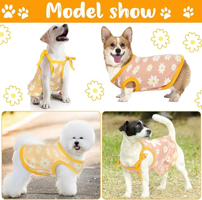 Frienda 4 Pieces Dog Clothes Set Include 2 Pcs Cute Pet Dress Lovely Dog Dress and 2 Pcs Breathable Pet T Shirt Puppy Clothes(Daisy,Small)