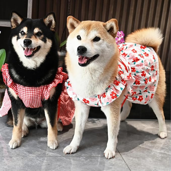 ANIAC Plaid Dog Dress with Leash Ring - Girl Dog Clothes for Small Dog, Cat, Puppy - Red Plaid Cat Dress for Chihuahua, Yorkie, Dachshund, Pomeranian (X-Large)