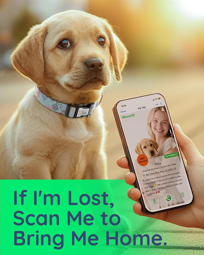 Dog Collar for Large Dogs with Smart QR Tags