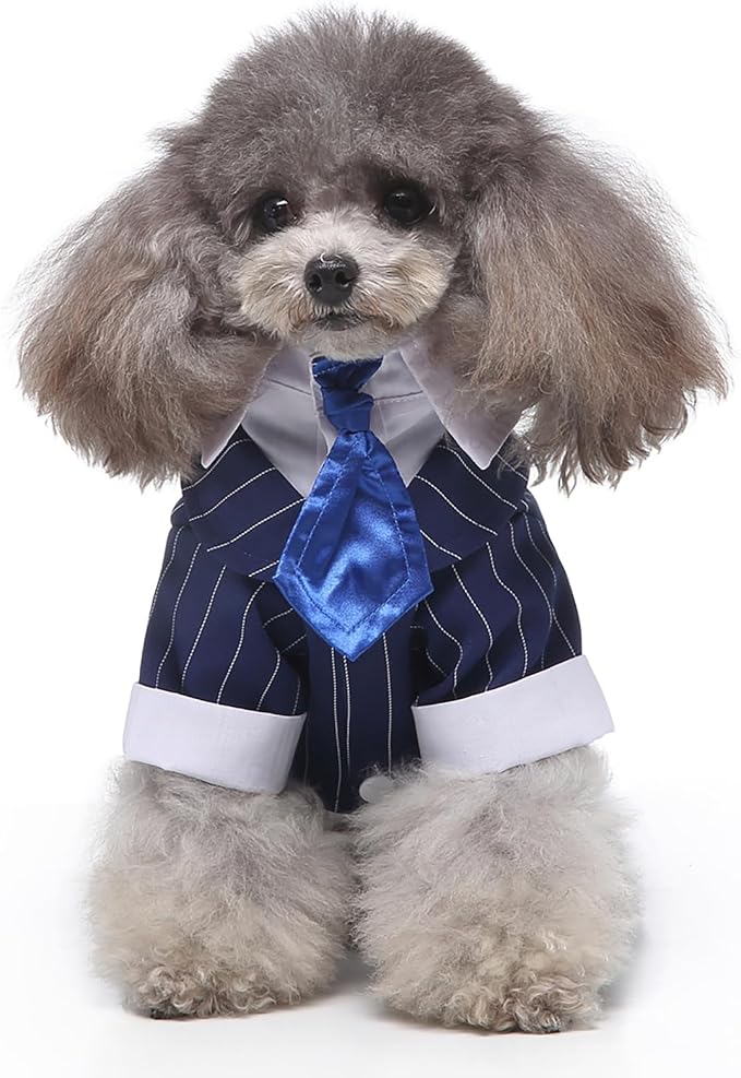 GabeFish Pets Wedding Jackets Suit for Dogs with Bow Tie Puppy Cat Formal Clothes Shirt Tuxedo (BlueStriped, M (Chest 15.3in/39cm)