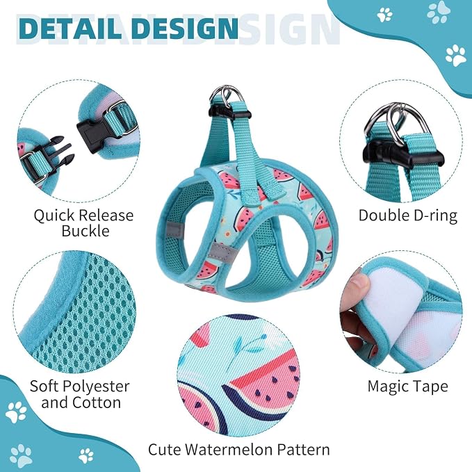 KOOLTAIL Dog Harness and Leash Set for Small Medium Dogs, Step in No Pull Soft Mesh Dog Harness Comfort Padded Pet Vest, Adjustable Reflective Easy Walking Puppy Cats Harness Training, Watermelon XS