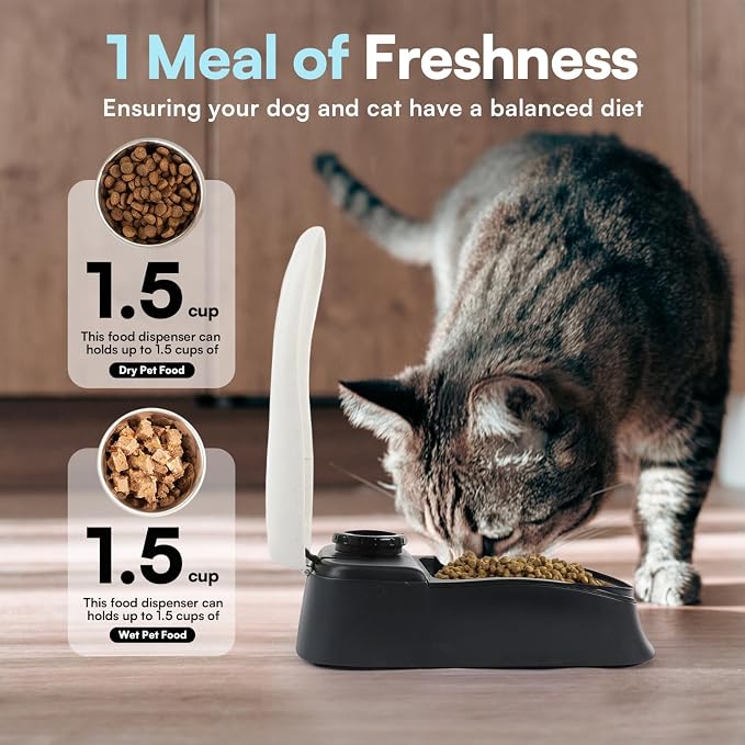 PAWISE Automatic Cat Feeder, Meal Automatic Timer for Cats and Puppy, 48-Hour Timer, Pet Feeder with Ice Pack for Wet or Dry Food, 1.5 Cups Dog Cat Food Dispenser