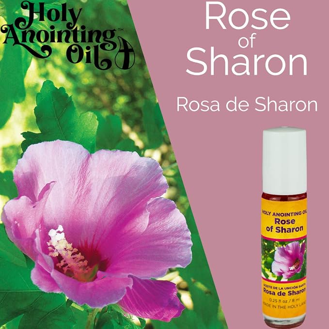 Rose of Sharon Holy Land Anointing Oil from Israel, 1/4 oz Roller Bottle from Jerusalem, Locally Sourced Essences, Gift for Pastors, Priests, Rabbi, & Clergy, Aceite Ungido de Rosa de Sharon