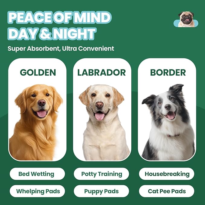 IMMCUTE 50 Pack Dog Pee Pads, 30"x36" Great Value Puppy Pads XL, Pee Pads for Dogs Cats Extra Large, Wee Wee Pads for Potty Training, Disposable Pet Pads Super Absorbent & Leak-Proof