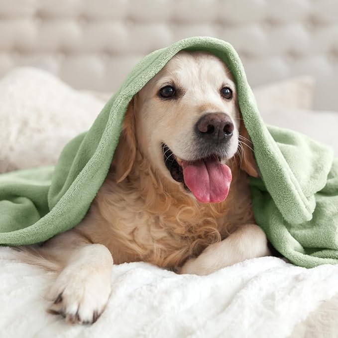 BEDELITE Fleece Blanket Soft Plush Twin Size Blanket Sage Green 60"x80" | Ultra Soft Fleece, Plush Microfiber, Lightweight Warmth, All Season Comfort, Fade Resistant, Machine Washable, Couch Sofa Bed