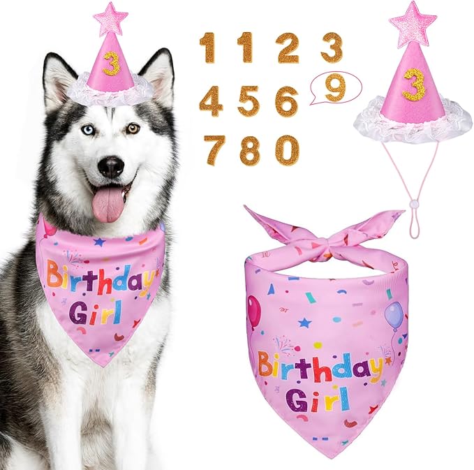 Dog Girl Birthday Party Hat, Dog Birthday Party Supplies | Dog Birthday Bandana Set with Numbers for Gaint and Extra Large Puppy (Pink)