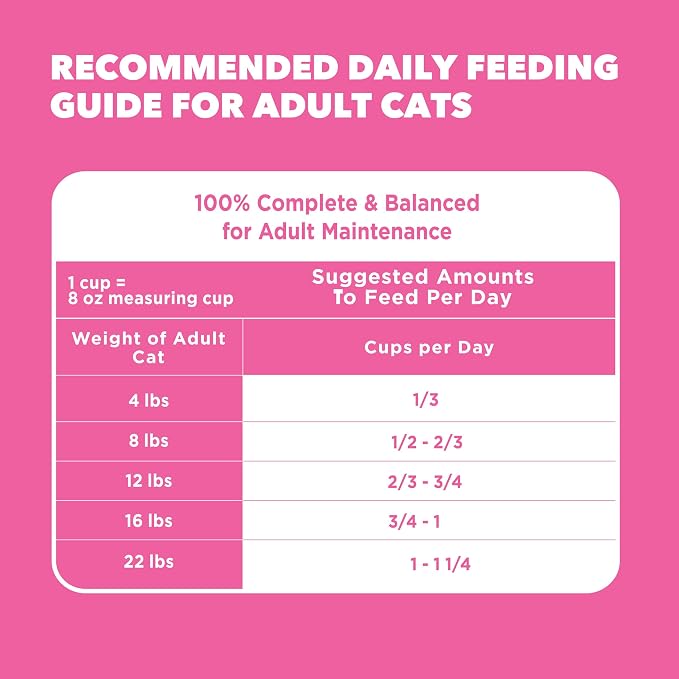 IAMS Proactive Health Sensitive Digestion Dry Cat Food, Turkey, 13 lb | Veterinarian-recommended, Real turkey #1 ingredient, prebiotics & fiber blend, Omega 6 & 3 for coat shine