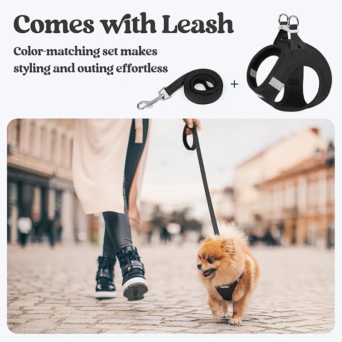 rabbitgoo Dog Harness Medium Sized and Leash Set, Step-in Puppy Pet Vest | Light, Soft, Breathable Air Mesh, Easy on and Remove with Hook & Loop, Secure Reflective for Walking, Black XXL