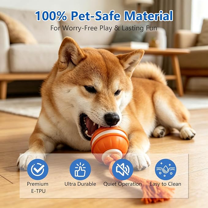 Interactive Dog Ball, 360° Self-Moving, USB-C, LED and Squeaker