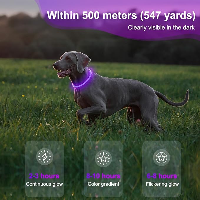 Light Up Dog Collars - Waterproof LED Dog Collar, Glow in The Dark Puppy Collar, TPU Cuttable Lighted Dog Collar for Small Medium Large Dogs (Purple)
