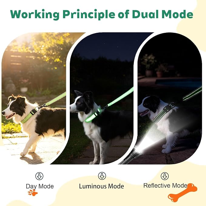 Dog Collar and Leash Set， Glow in The Dark & Reflective Leash and Collar