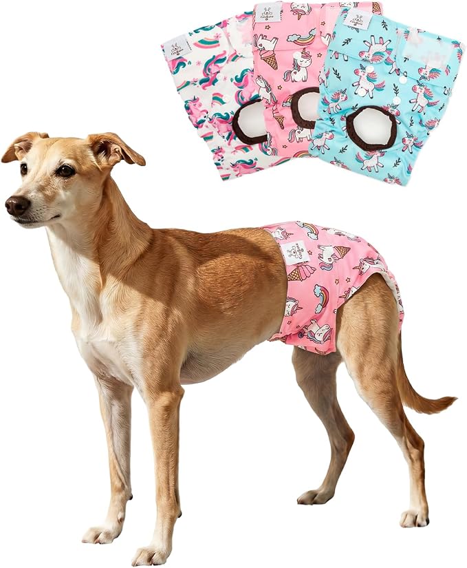 CuteBone Dog Diapers Female Washable Small Medium Large 3 Pack Reusable Doggie Diapers Puppy Period Pants for Doggy Heat Cycle Peeing