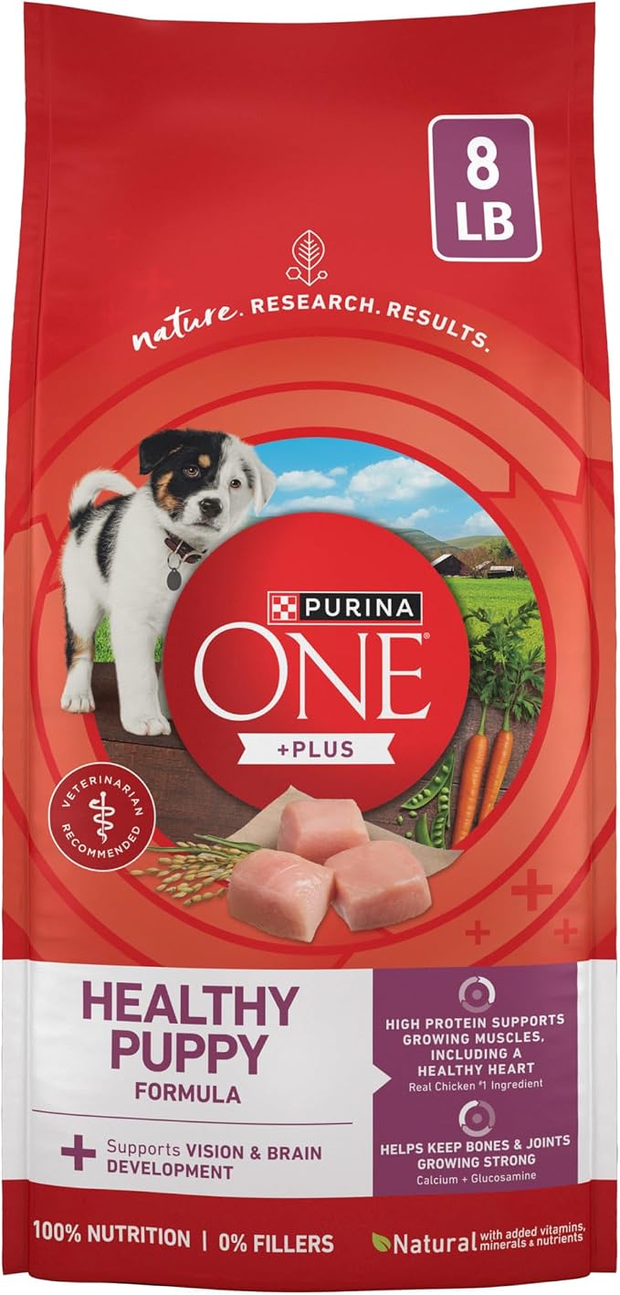 Purina ONE Plus Healthy Puppy Dry Food, Chicken, 8 lb Bag | High protein dog food for puppies, real chicken, DHA to support vision and brain development, antioxidants for immune support