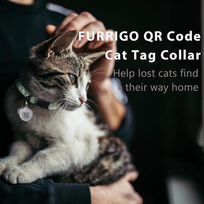 Breakaway Reflective Cat Collar with QR Name Tag & Bell (Light Green)