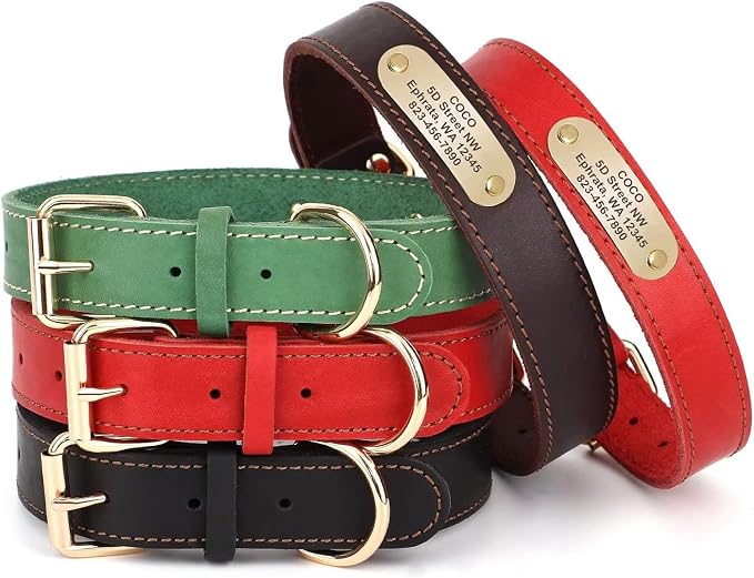Personalized Genuine Leather Dog Collar with Name Phone Number-Bluegreen-XS