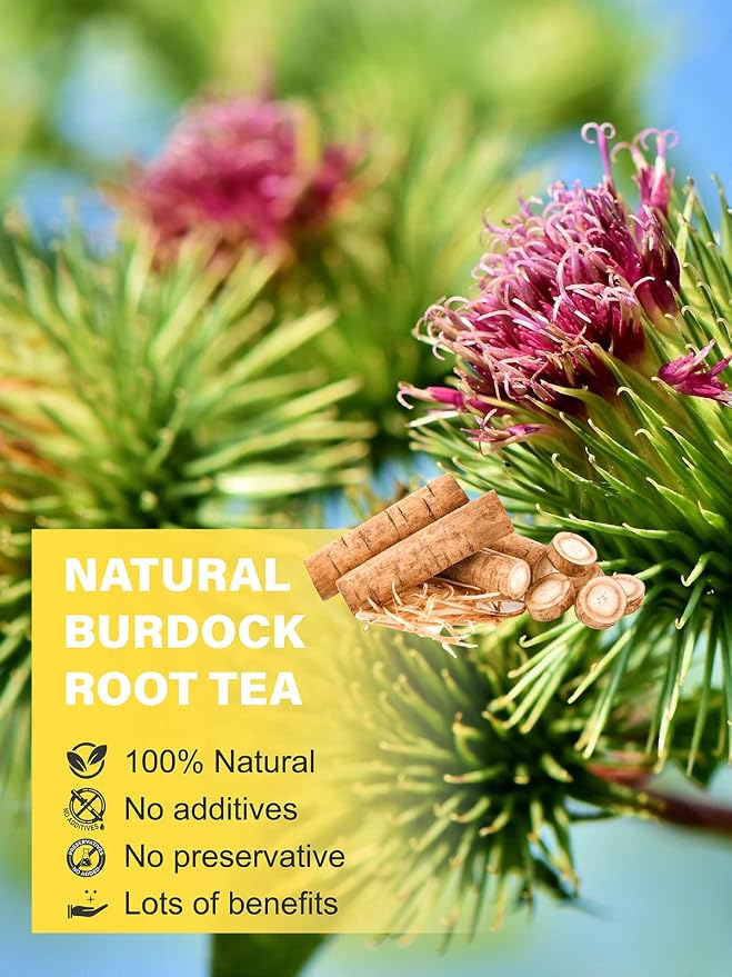 TeeLux Burdock Root Tea, Cut & Sifted, Pure Natural Dried Burdock Root Loose Leaf Tea, Caffeine Free, Premium Herbal Tea, 16oz