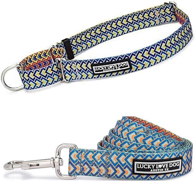 Lucky Love Dog Martingale Collar & Leash Set No Slip Cute – Murphy, Medium