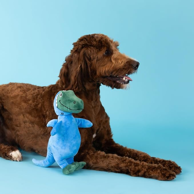 Fringe Studio Dog Plush Pet Toy with Squeaker, Feelin’ Jawsome! (289626) for All Breed Sizes, Medium, Multicolor