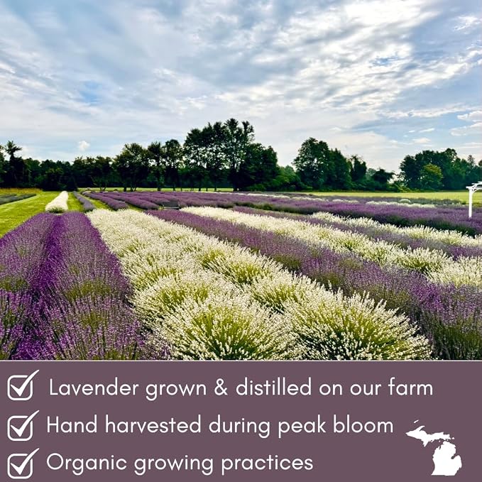 Lavender Hydrosol Floral Water - Distilled on Our Lavender Farm, Facial Toner, Aromatherapy, Linen & Room Mist (32 oz (1/4 Gallon))