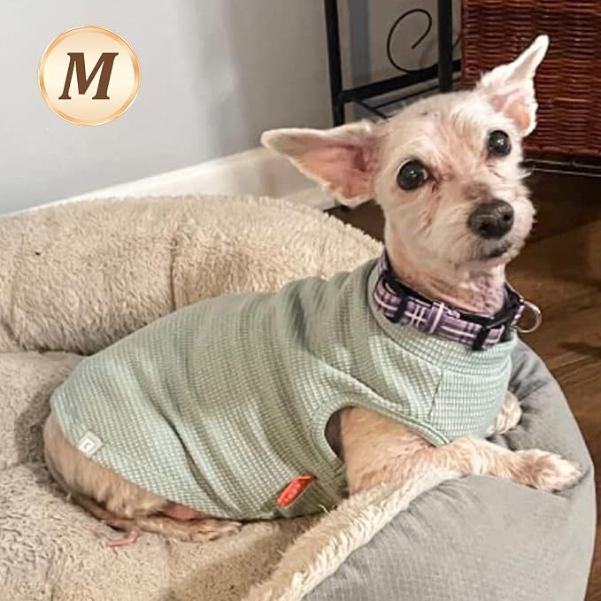 KYEESE 2Pack Waffle Dog Shirt for Small Dogs Striped Dog Sweater Tank Top | Cozy Warmth, Lightweight & Breathable, Gentle on Sensitive Skin, Stretchy & Free to Move, Comfortable Daily Wear
