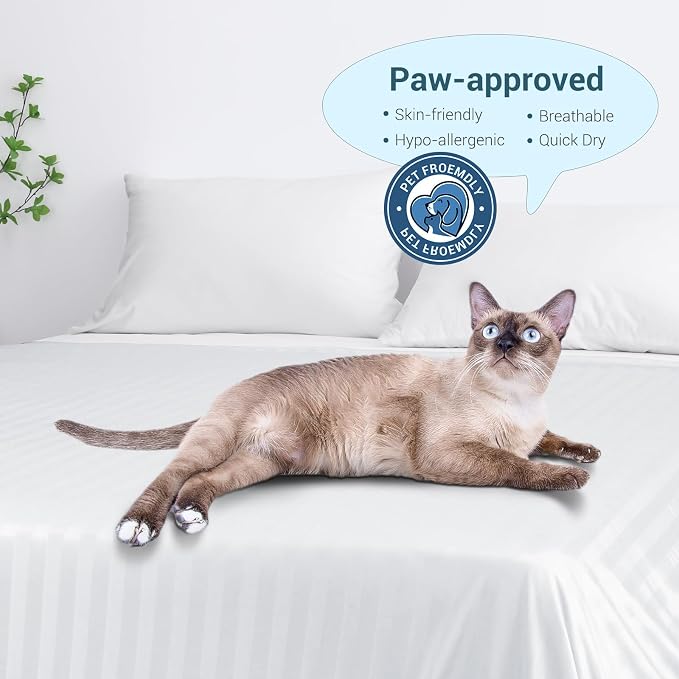 Elegear Cooling Blanket Twin for Hot Sleepers, One-Way Moisture Flow | Arc-Chill® 3.0 Q-Max>0.5 Cooling Fabric with One-way Moisture Flow Helps Keep Skin Cool & Dry & Breathable, No Sticky Feeling