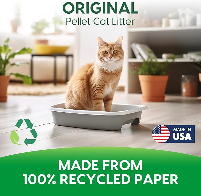 Fresh News Recycled Paper Original Pellet Cat Litter, 12 Pound, Non-Clumping, Unscented, Made in USA (Pack of 3)