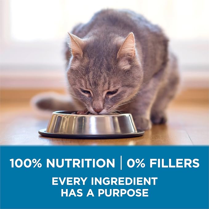 Purina ONE Indoor Advantage Senior Dry Cat Food, High Protein, 16 lb Bag | Made with real chicken and a natural fiber blend that helps minimize hairballs and supports immune health for senior cats