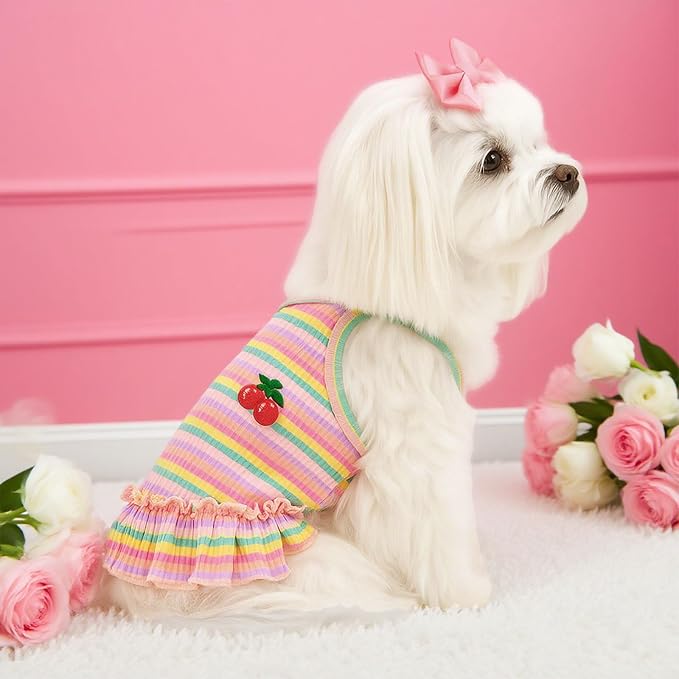 Cute Small Dog Dress Girl Female Dog Clothes Spring Summer Pet Puppy Cats Striped Dress Outfits for Shih Tzu Yorkies Chihuahua Maltese(Cherry Pink,Large)