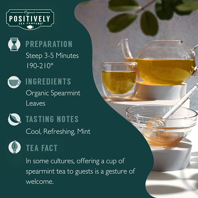 Organic Positively Tea Company, Spearmint Leaf Herbal Tea Bags, 100 Count, Eco-Friendly Tea Bags, Non-GMO