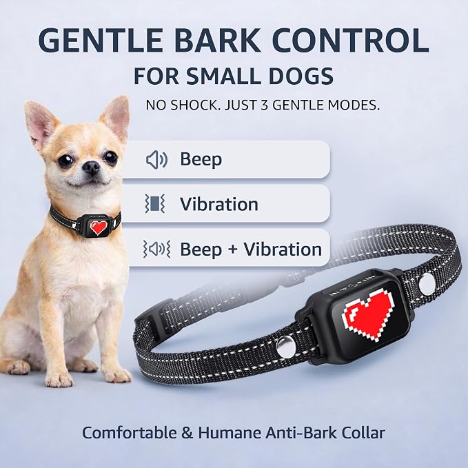 Bark Collar for Small Dogs 5-15 lbs with Magnetic Charging – No Shock, 3 Beep & Vibration Modes, 5 Sensitivity Levels – Humane Stop Anti-Barking Device – Dog Training Bark Collar (Black/Red Heart)