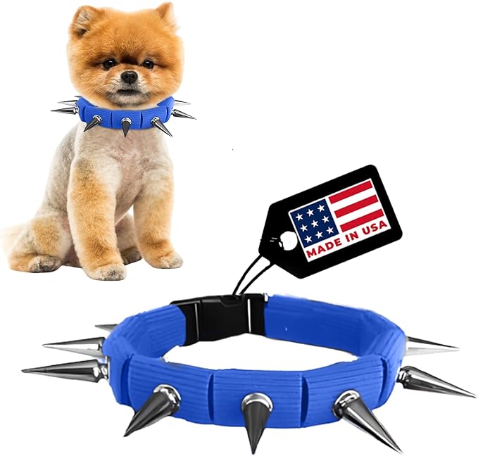 CoyoteCollar Spike Dog Collar, Adj/Replaceable Spikes, Small, Blue