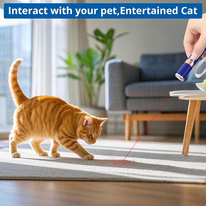 TBTeek Cat Toys, with Metal Case, 2 Pieces, Rechargeable (Blue) | 7 Adjustable Patterns, Cats Fun Playing Exercise Interactive Kitten Pet Dog Chase Toy