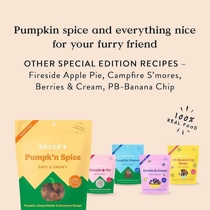 Bocce's Bakery Pumpk'n Spice Flavor Soft & Chewy Dog Treats, 6 oz | Oven Baked, Wheat-Free Everyday Dog Treat Cookies - Made with Real, Limited Ingredients and Baked in The USA