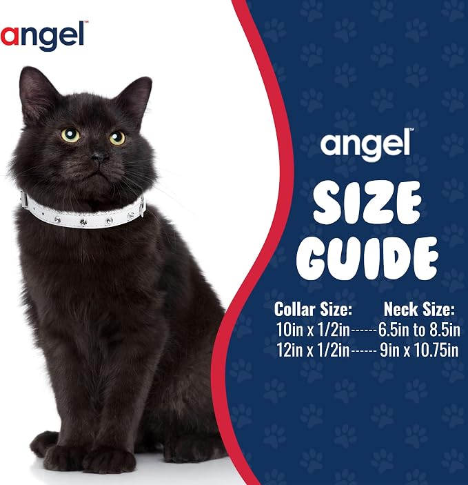 Athens Cat Collar, Leather Kitten Collar w/Rhinestones, Sturdy Breakaway Cat Collar with Bell & Elastic Stretch, Cat Accessories, Ivory White, 12 x ½ inches - Angel Pet Supplies