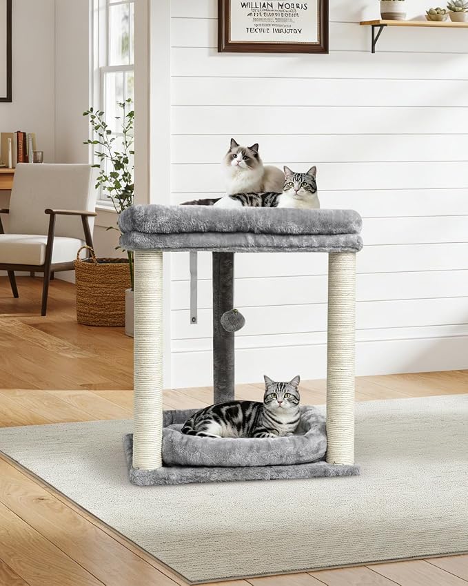 SYANDLVY Small Cat Tree with 2-Tier Perch Platforms, Scratching Post Tower | Natural Sisal, Hanging Bell Ball & Anti-Tip Strap, Modern Cat Furniture for Indoor Cats, Grey