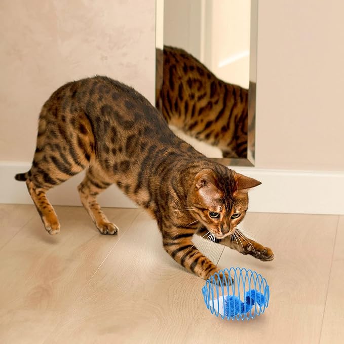 Jecery 5 Pcs Cat Toys Spring,Mouse,Blue White