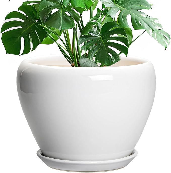 Ceramicfor Ceramic Pot for Plants - 10 Inch Planter with Drainage Hole and Saucer, Glaze Modern Round Flower Pot for Indoor Plants, Housewarming Gift, Home Decor, White