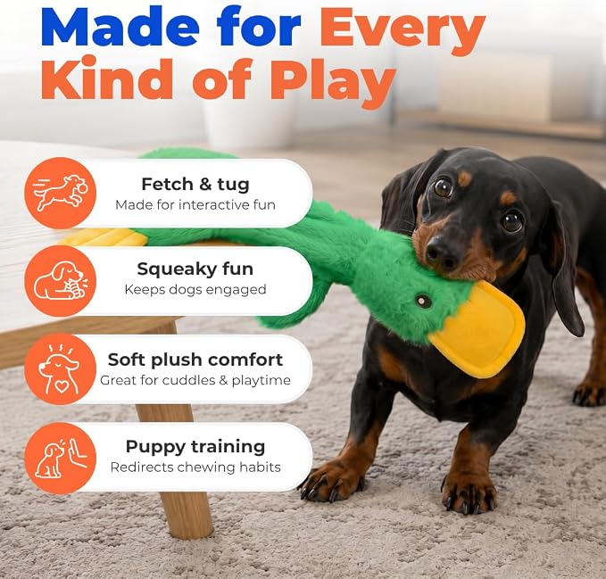 Best Pet Supplies Interactive Squeaky Dog Toy - Crinkle Duck, Green | Stuffing Free Body, Soft, Squeaks & Crinkles, No Mess, Perfect for Moderate Chewers, Toss and Fetch Play