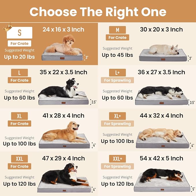 OhGeni Orthopedic Waterproof Small Dog Bed, Memory Foam, 24 inch(Gray) | Machine-Washable Removable Cover in Easy-Clean Fabric, Reversible Memory Foam & Easy-Carry Handle, Suitable for Crate