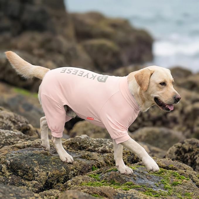 KYEESE UPF50+ Dog Sun Shirt for Medium Dog Cooling Onesie for UV Protection | Cooling Breathable Fabric, Reflective Design, Shedding Control, Skin-Friendly for Sensitive Dogs, Easy On/Off, Quick Dry