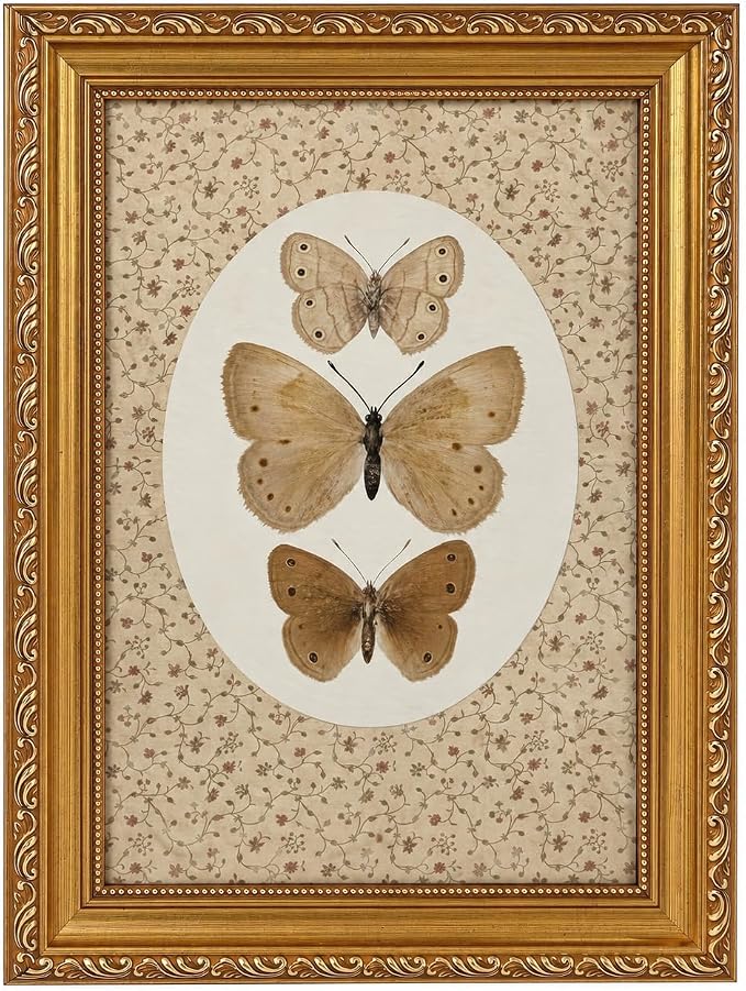 Vintage Butterfly Specimen Wall Art, Gold Framed Canvas Print | Vintage butterfly specimen wall art with gold frame, suitable for study room, office, and gallery wall decor.